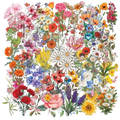 Floral PET Stickers