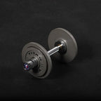 Olympic Dumbbell Bars